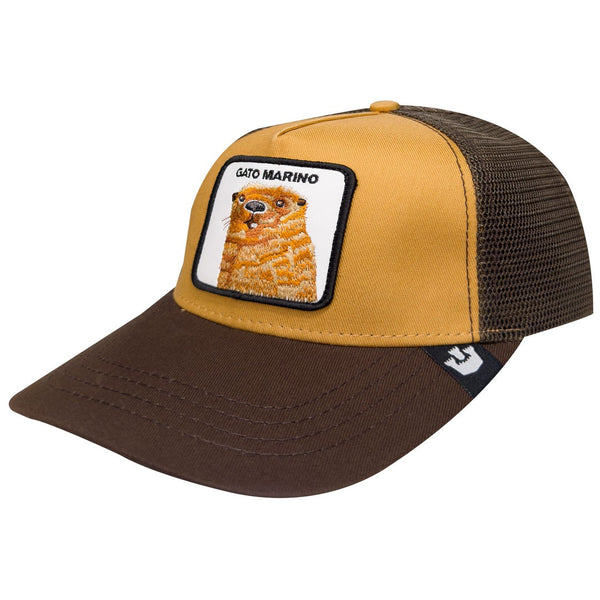 GORRA CASTOR #AR112