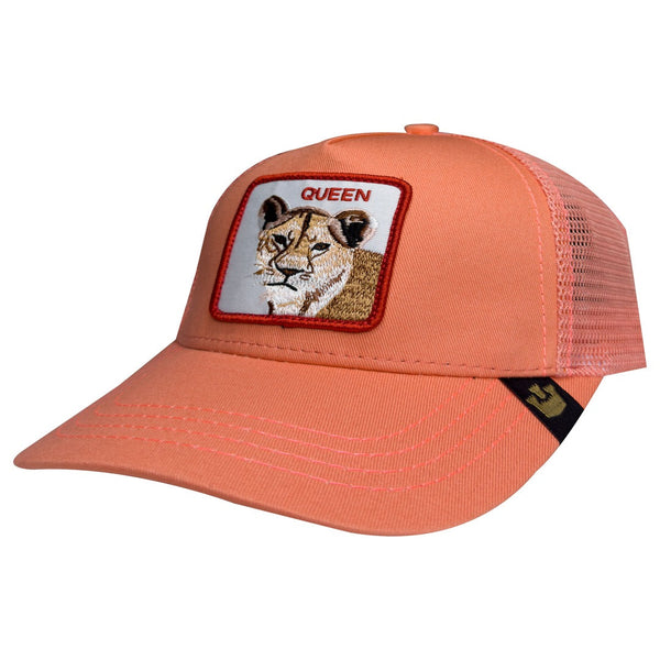 GORRA PUMA #AR113