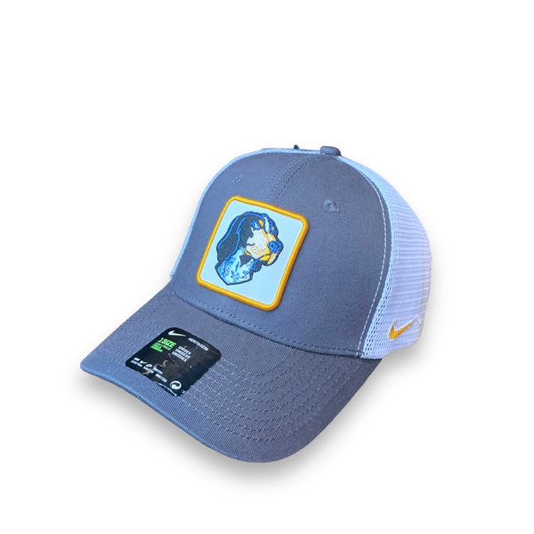 GORRA GALTA AR NIK PERRO #AR20